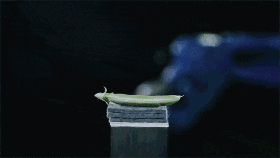 <strong>中國精密減速器技術(shù)如何趕超日本</strong>